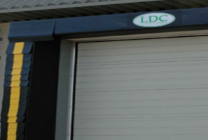 LDC D100