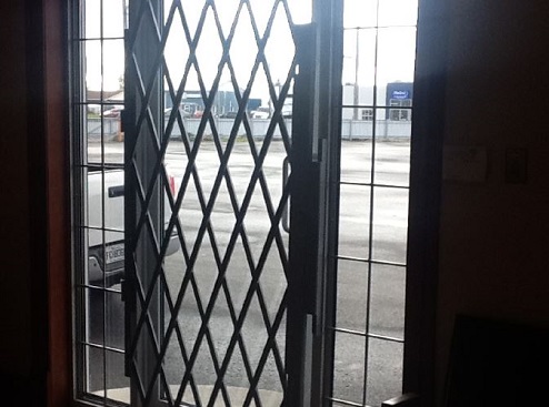Security gates for commercial doors 